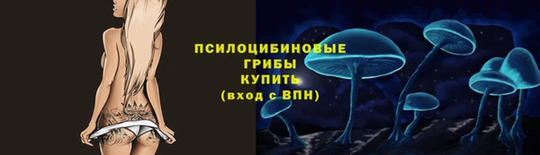 метадон Белокуриха