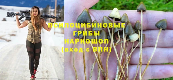 ECSTASY Киреевск