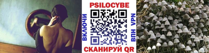 Псилоцибиновые грибы мухоморы blacksprut онион Ленинградская