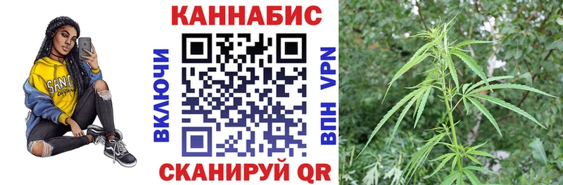 Бошки марихуана тримм Ленинградская
